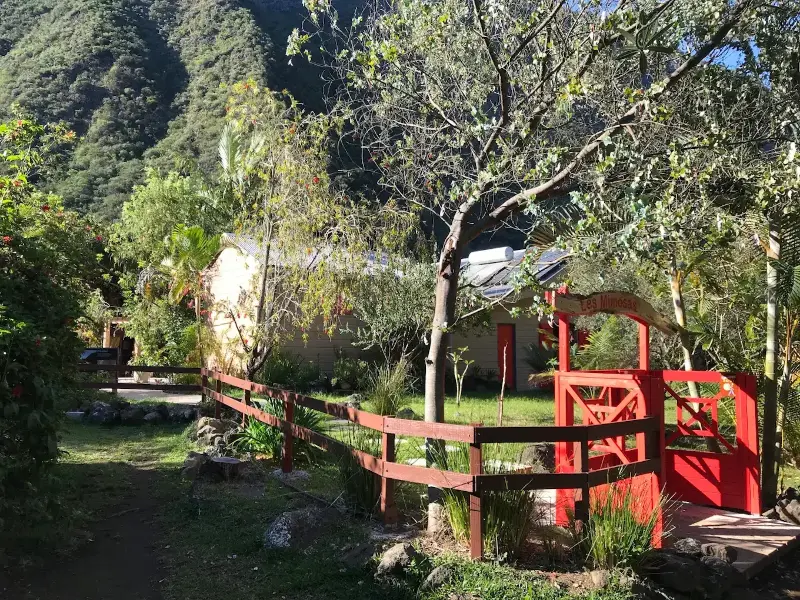 Jardin de la chambre d’hôtes Les Mimosas au soleil, La Réunion